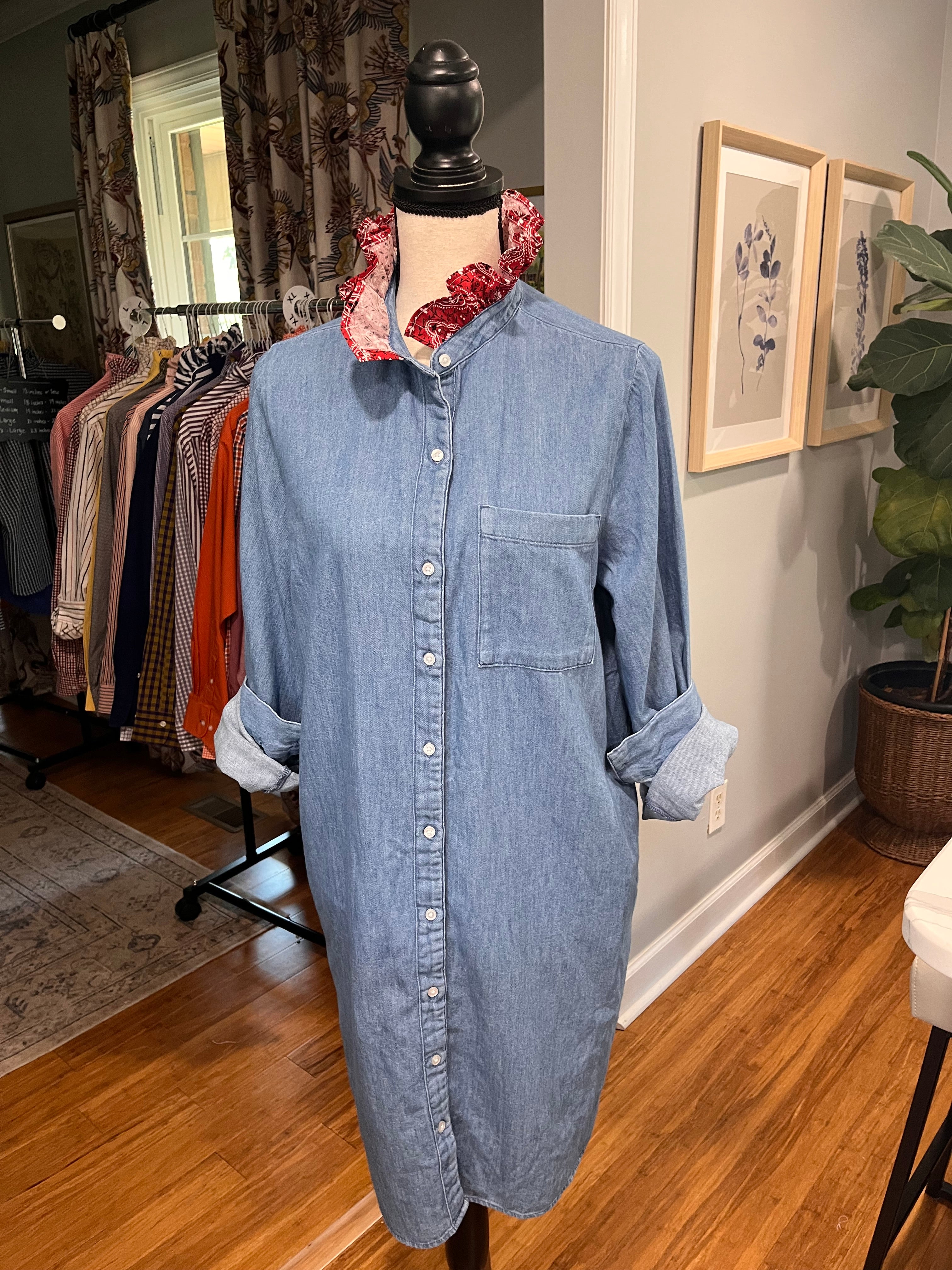 Old Navy Medium with Red Bandanna Collar